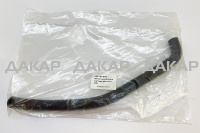 UT-00000782