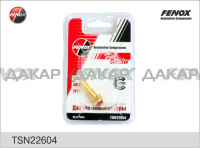 TSN22604