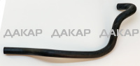 UT-00000775