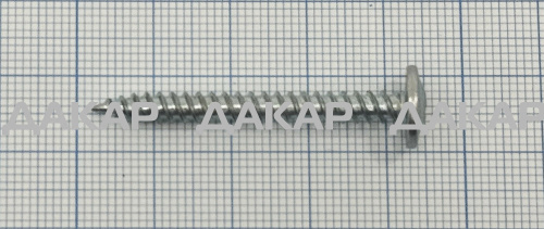 2900