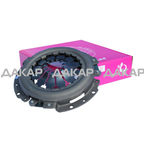 large-disk-sceplenia-2103