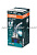 COOL BLUE INTENSE H15 64176CBN
