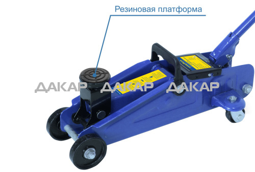photo_6